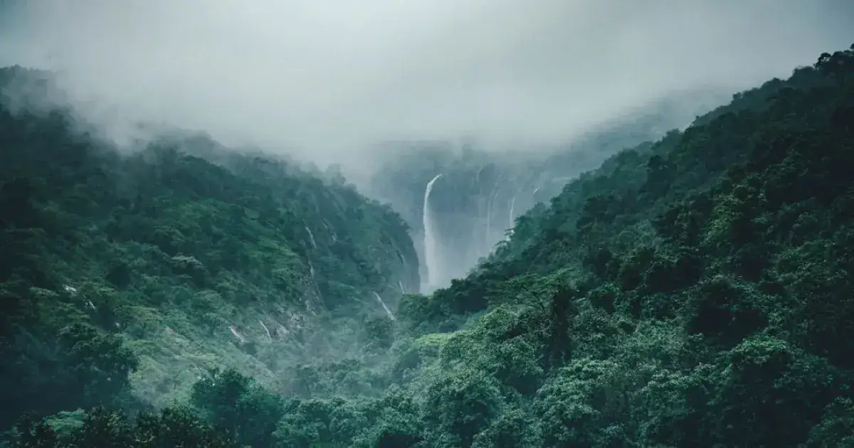 Packers and Movers Bangalore to Pune